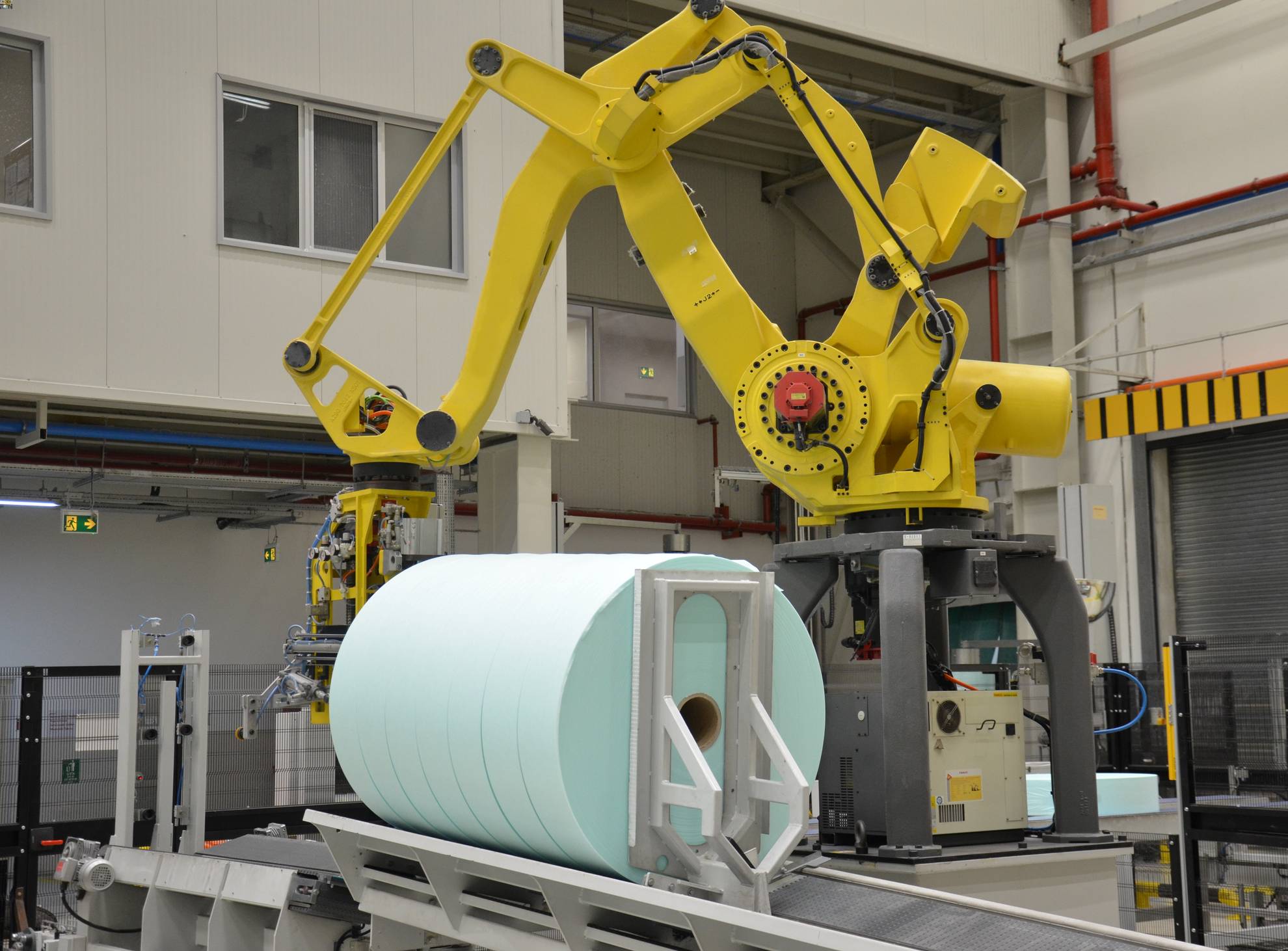 Automated Packaging Systems